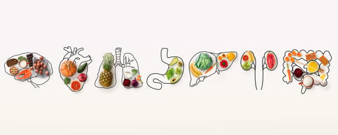 Science Reveals Most Multivitamins Fall Short—Here’s What Makes Dr. Fuhrman’s Different