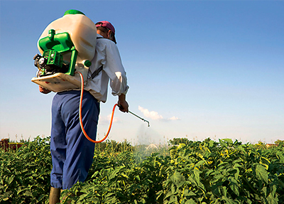 Should we only buy organic produce?
