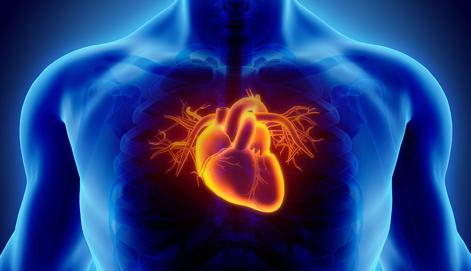 For stable heart disease, does stent placement do more harm than good?