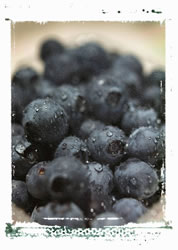Blueberries Protect Blood Vessels, May Slow Age-Related Mental Decline