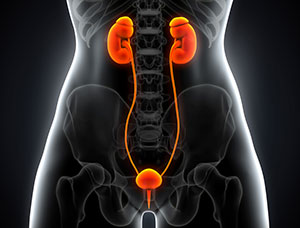 Urinary Tract Infections